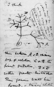 charles-darwin-tree-of-life-sketch-1837